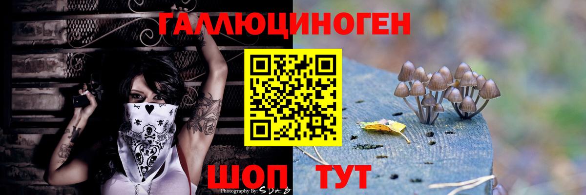Псилоцибиновые грибы Magic Shrooms Гурьевск