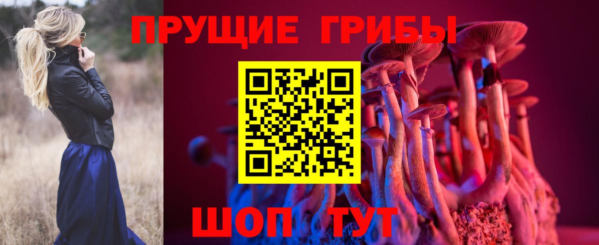 Гурьевск  Галлюциногенные грибы ЛСД  где можно купить   Вход с VPN 